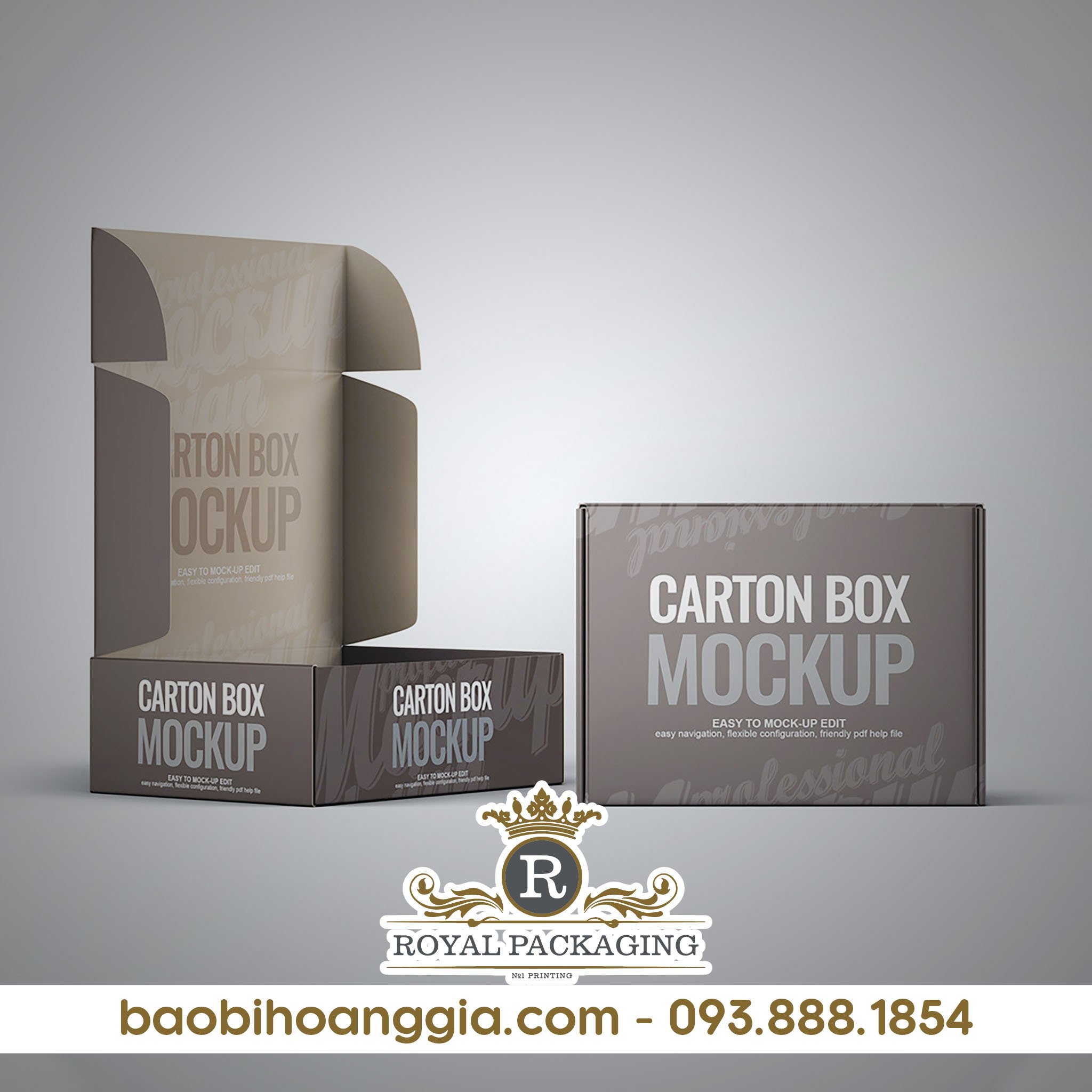 in hộp giấy carton hcm