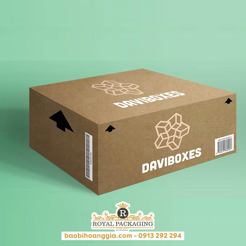 Mẫu hộp giấy carton 11