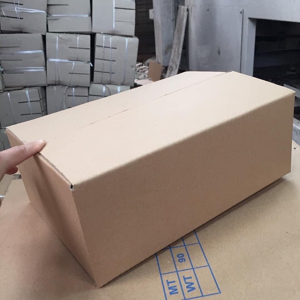 Mẫu thùng carton 3 lớp - 4